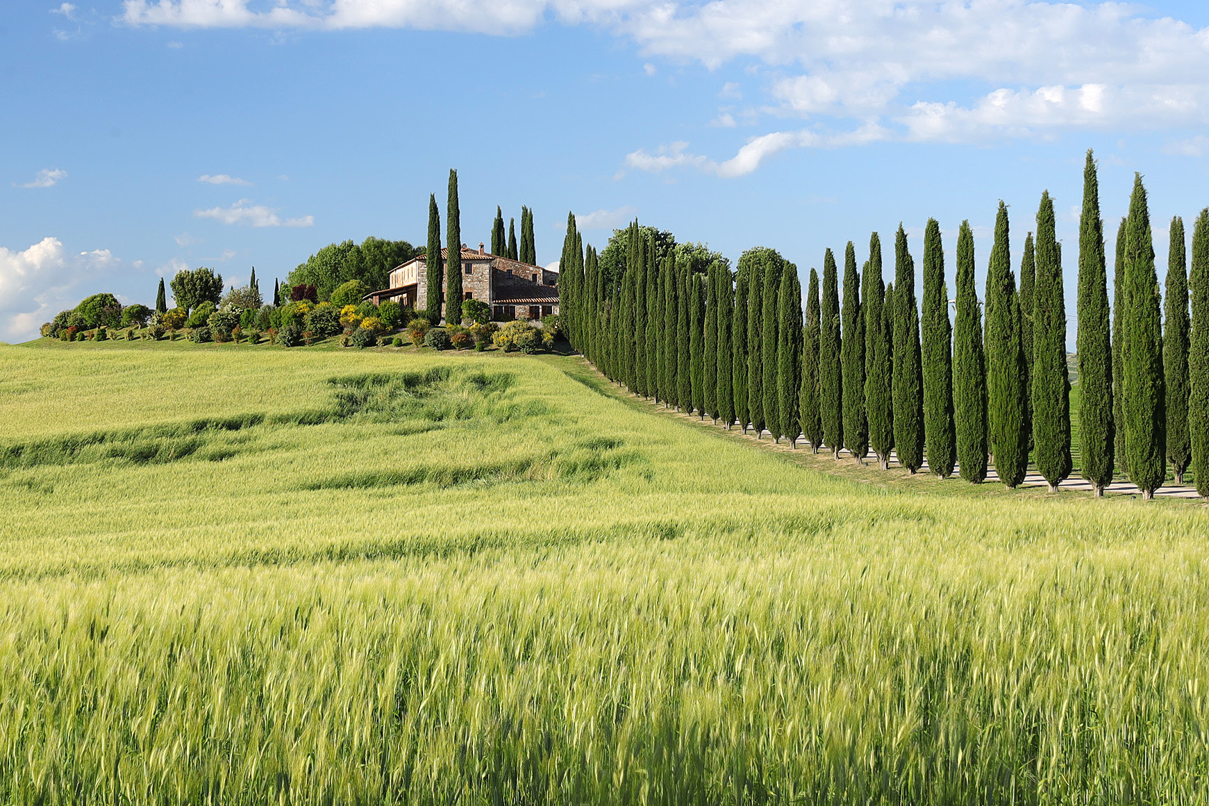 Zypressenalle im Val d` Orcia - Toskana - Michael Stuka